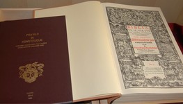  Pravilo in Konstitucije, utemeljene v Božji besedi 